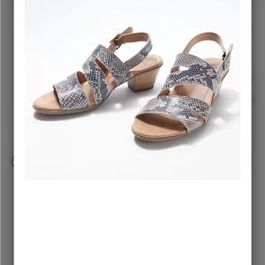 Women's Earth Origins Cathryn Strappy Sandal snake print size 9m